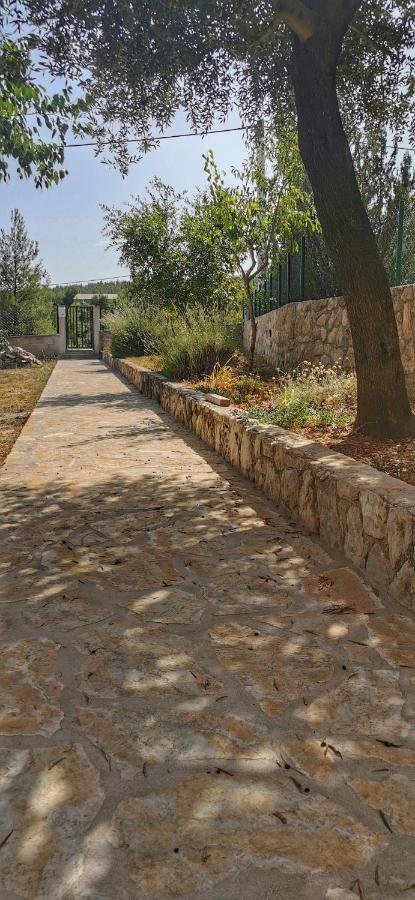 Park Apartman Pridraga Kültér fotó