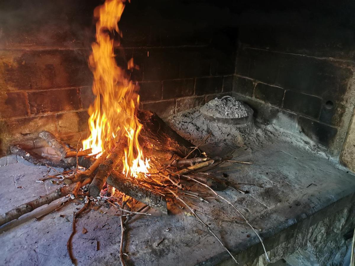 Park Apartman Pridraga Kültér fotó